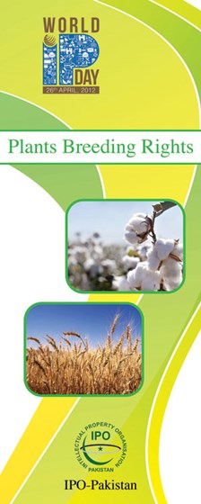 Portfolio: Portfolio