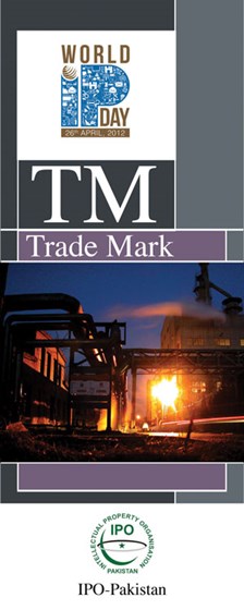 Portfolio: Portfolio