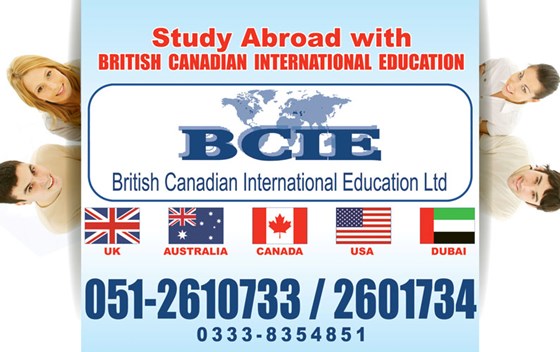 Portfolio: Portfolio