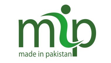 Portfolio: Portfolio