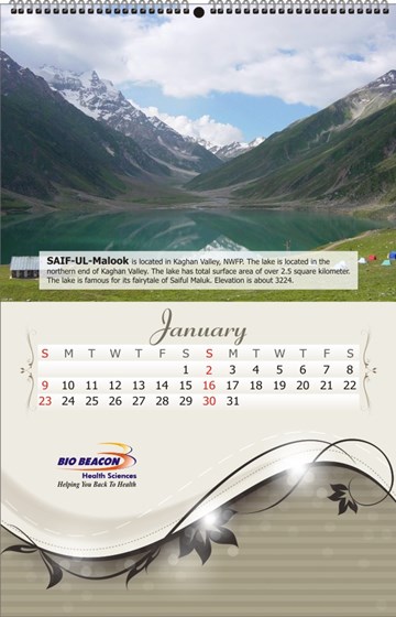 Portfolio: Portfolio