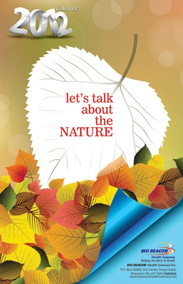 Portfolio: Portfolio