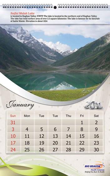 Portfolio: Portfolio