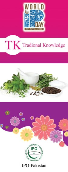 Portfolio: Portfolio