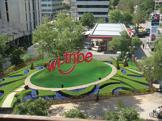 Portfolio: Portfolio